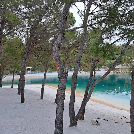 Mobile Eva * ドラゲ