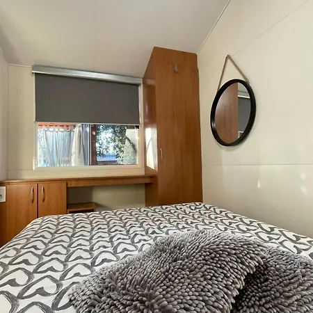 Mobile Eva * ドラゲ