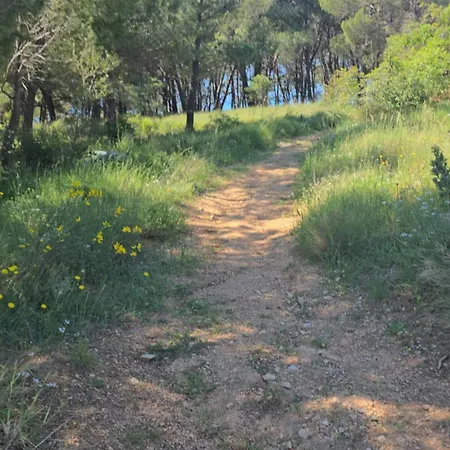 Mobile Eva بيت للعطل *