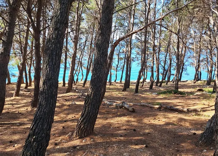 Mobile Eva * דראגה