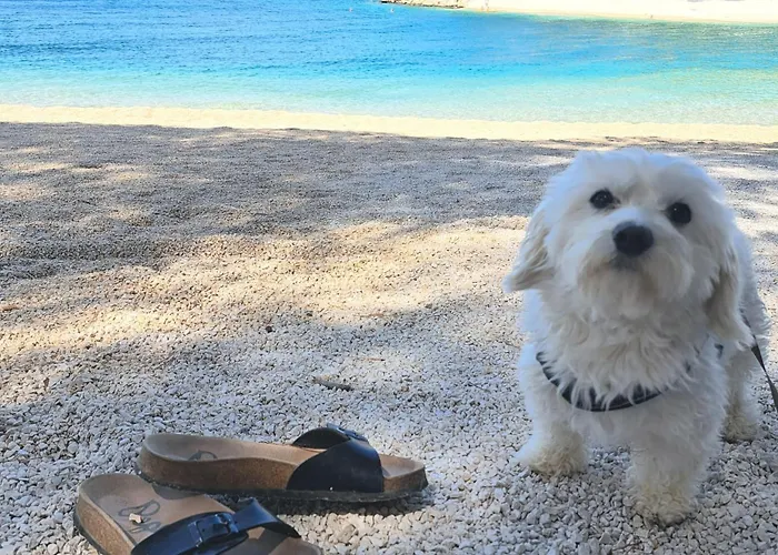 בית נופש Mobile Eva *