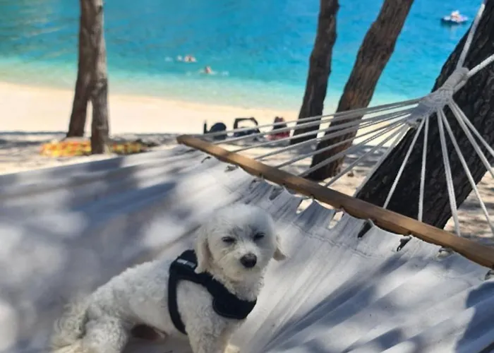 Ferienhaus Mobile Eva *